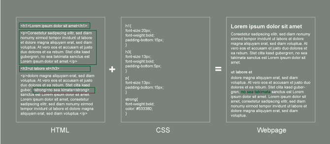 HTML and CSS create a formatted webpage.